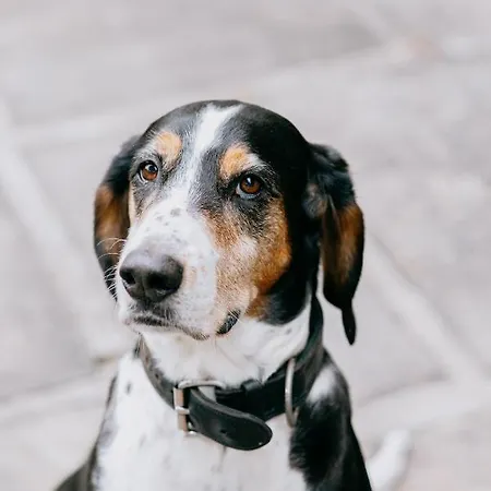 Screebe House (adults Only) 4*