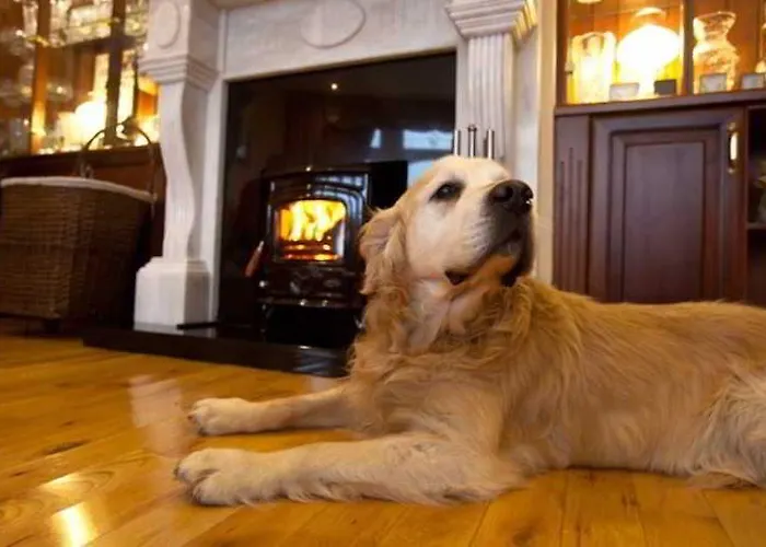 Отель Screebe House (adults Only) 4*